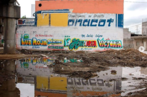 @ferminguzmanfotografia